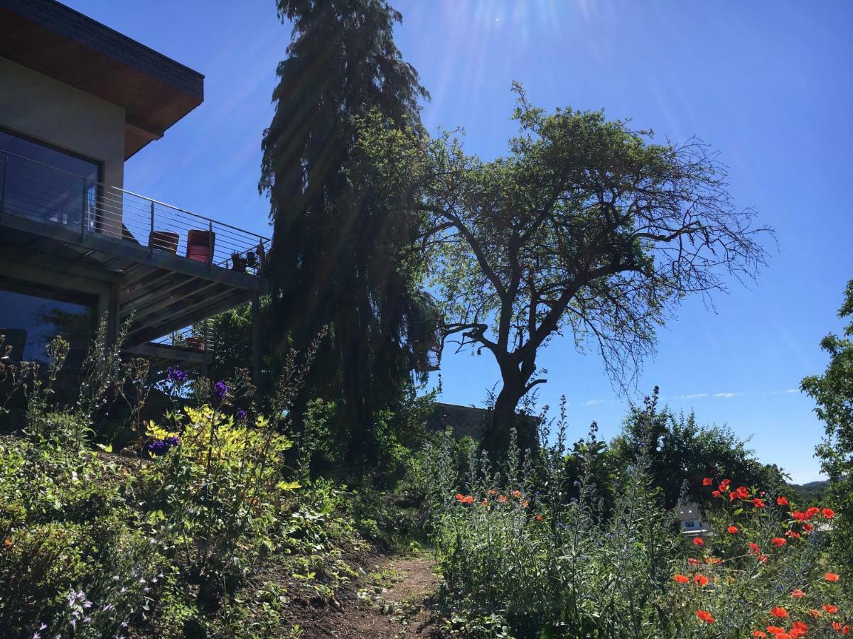 Haagalm Terrasse, Garten Nonnweiler Exterior photo